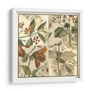 Cuadrante Botánico Ii - Vision Studio | Cuadro decorativo de Canvas Lab