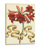 Ribbon Florals Ii - Vision Studio | Cuadro decorativo de Canvas Lab