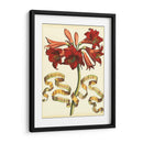 Ribbon Florals Ii - Vision Studio | Cuadro decorativo de Canvas Lab