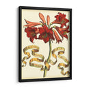 Ribbon Florals Ii - Vision Studio | Cuadro decorativo de Canvas Lab