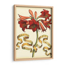 Ribbon Florals Ii - Vision Studio | Cuadro decorativo de Canvas Lab