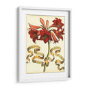 Ribbon Florals Ii - Vision Studio | Cuadro decorativo de Canvas Lab