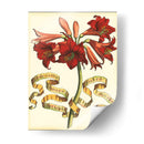 Ribbon Florals Ii - Vision Studio | Cuadro decorativo de Canvas Lab