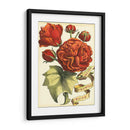 Cinta Florales Iii - Vision Studio | Cuadro decorativo de Canvas Lab