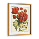 Cinta Florales Iii - Vision Studio | Cuadro decorativo de Canvas Lab