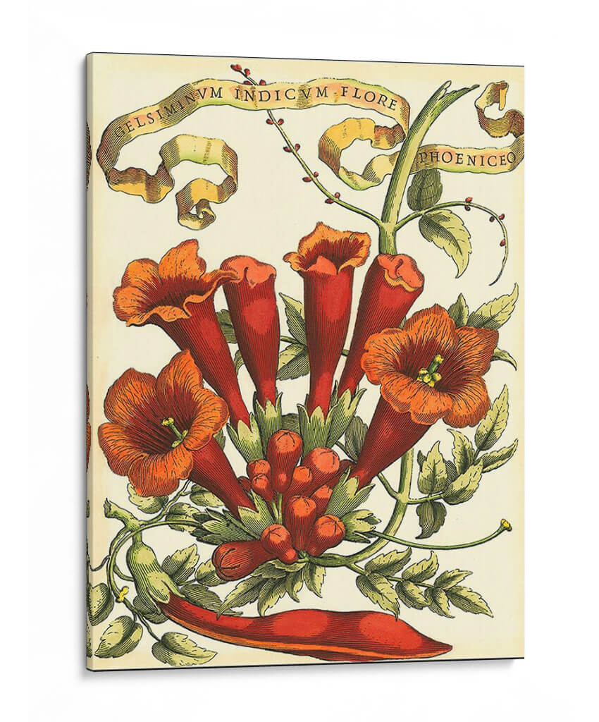 Ribbon Florals Iv - Vision Studio | Cuadro decorativo de Canvas Lab