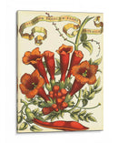 Ribbon Florals Iv - Vision Studio | Cuadro decorativo de Canvas Lab