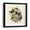 Mariposa Reunión Ii - Vision Studio | Cuadro decorativo de Canvas Lab