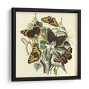 Mariposa Reunión Ii - Vision Studio | Cuadro decorativo de Canvas Lab