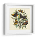 Mariposa Reunión Ii - Vision Studio | Cuadro decorativo de Canvas Lab