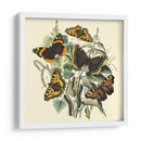 Mariposa Reunión Ii - Vision Studio | Cuadro decorativo de Canvas Lab