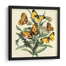 Mariposa Reunión Iv - Vision Studio | Cuadro decorativo de Canvas Lab