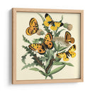 Mariposa Reunión Iv - Vision Studio | Cuadro decorativo de Canvas Lab