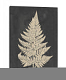 Helecho De Lino I - Vision Studio | Cuadro decorativo de Canvas Lab