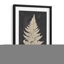 Helecho De Lino I - Vision Studio | Cuadro decorativo de Canvas Lab