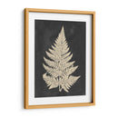 Helecho De Lino I - Vision Studio | Cuadro decorativo de Canvas Lab