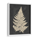 Helecho De Lino I - Vision Studio | Cuadro decorativo de Canvas Lab