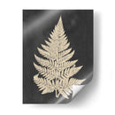 Helecho De Lino I - Vision Studio | Cuadro decorativo de Canvas Lab