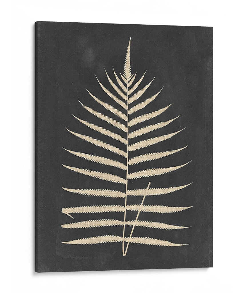Lino Fern Iii - Vision Studio | Cuadro decorativo de Canvas Lab