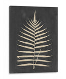 Lino Fern Iii - Vision Studio | Cuadro decorativo de Canvas Lab