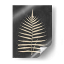 Lino Fern Iii - Vision Studio | Cuadro decorativo de Canvas Lab