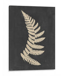Lino Helecho Iv - Vision Studio | Cuadro decorativo de Canvas Lab