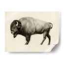 Llanuras Altas Ii - Victoria Borges | Cuadro decorativo de Canvas Lab