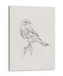 Estudio Aviar I - Ethan Harper | Cuadro decorativo de Canvas Lab