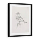 Estudio Aviar I - Ethan Harper | Cuadro decorativo de Canvas Lab