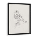 Estudio Aviar I - Ethan Harper | Cuadro decorativo de Canvas Lab