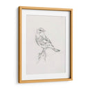 Estudio Aviar I - Ethan Harper | Cuadro decorativo de Canvas Lab