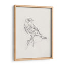 Estudio Aviar I - Ethan Harper | Cuadro decorativo de Canvas Lab