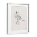 Estudio Aviar I - Ethan Harper | Cuadro decorativo de Canvas Lab