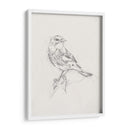 Estudio Aviar I - Ethan Harper | Cuadro decorativo de Canvas Lab