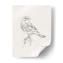 Estudio Aviar I - Ethan Harper | Cuadro decorativo de Canvas Lab