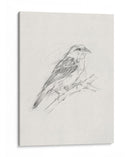 Estudio Aviar Ii - Ethan Harper | Cuadro decorativo de Canvas Lab