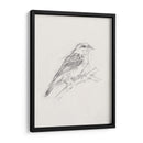 Estudio Aviar Ii - Ethan Harper | Cuadro decorativo de Canvas Lab