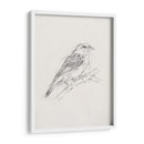 Estudio Aviar Ii - Ethan Harper | Cuadro decorativo de Canvas Lab