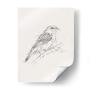 Estudio Aviar Ii - Ethan Harper | Cuadro decorativo de Canvas Lab