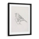 Estudio Aviar Iii - Ethan Harper | Cuadro decorativo de Canvas Lab