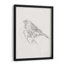 Estudio Aviar Iii - Ethan Harper | Cuadro decorativo de Canvas Lab