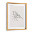 Estudio Aviar Iii - Ethan Harper | Cuadro decorativo de Canvas Lab