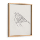 Estudio Aviar Iii - Ethan Harper | Cuadro decorativo de Canvas Lab