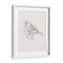 Estudio Aviar Iii - Ethan Harper | Cuadro decorativo de Canvas Lab