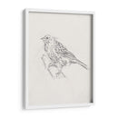 Estudio Aviar Iii - Ethan Harper | Cuadro decorativo de Canvas Lab