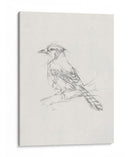 Estudio Aviar Iv - Ethan Harper | Cuadro decorativo de Canvas Lab