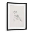 Estudio Aviar Iv - Ethan Harper | Cuadro decorativo de Canvas Lab