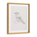 Estudio Aviar Iv - Ethan Harper | Cuadro decorativo de Canvas Lab