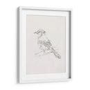 Estudio Aviar Iv - Ethan Harper | Cuadro decorativo de Canvas Lab