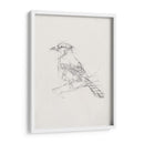 Estudio Aviar Iv - Ethan Harper | Cuadro decorativo de Canvas Lab